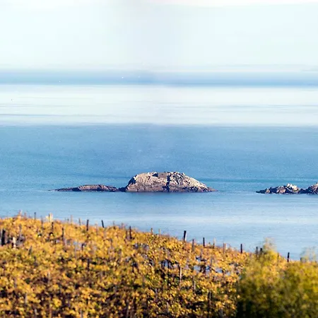 Appartamento Aterian Euromar Ii Zarautz