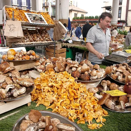 Aterian Euromar Ii Appartement Zarautz