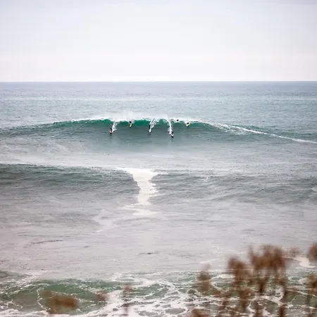 Aterian Euromar Ii Lejlighed Zarautz